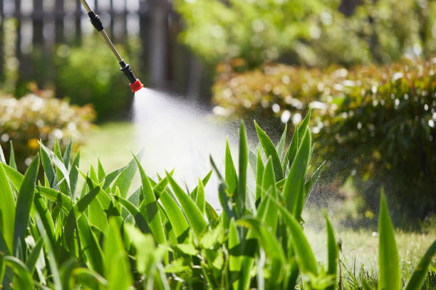 Tamper-Resistant Bait Stations for Rodents in Pottsboro