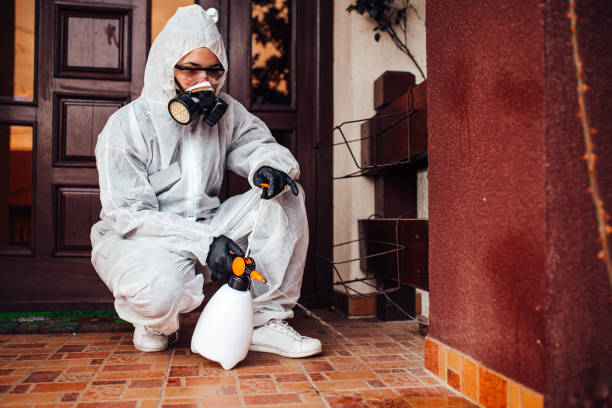 Attic and Crawl Space Rodent Treatment in Pottsboro