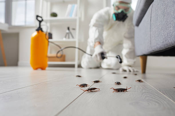 Commercial Rodent Management in Pottsboro